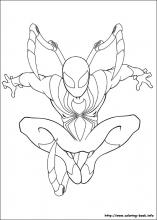 Ultimate spider