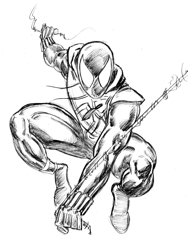 Scarlet spider sketch by xlt on