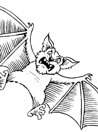 Halloween bat coloring page all kids network