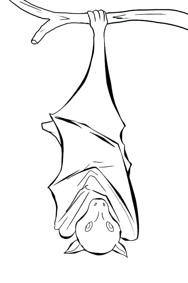 Bat coloring pages pdf for your kids