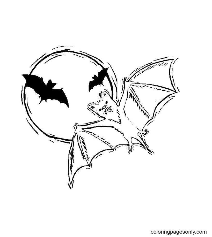 Halloween bats coloring pages printable for free download