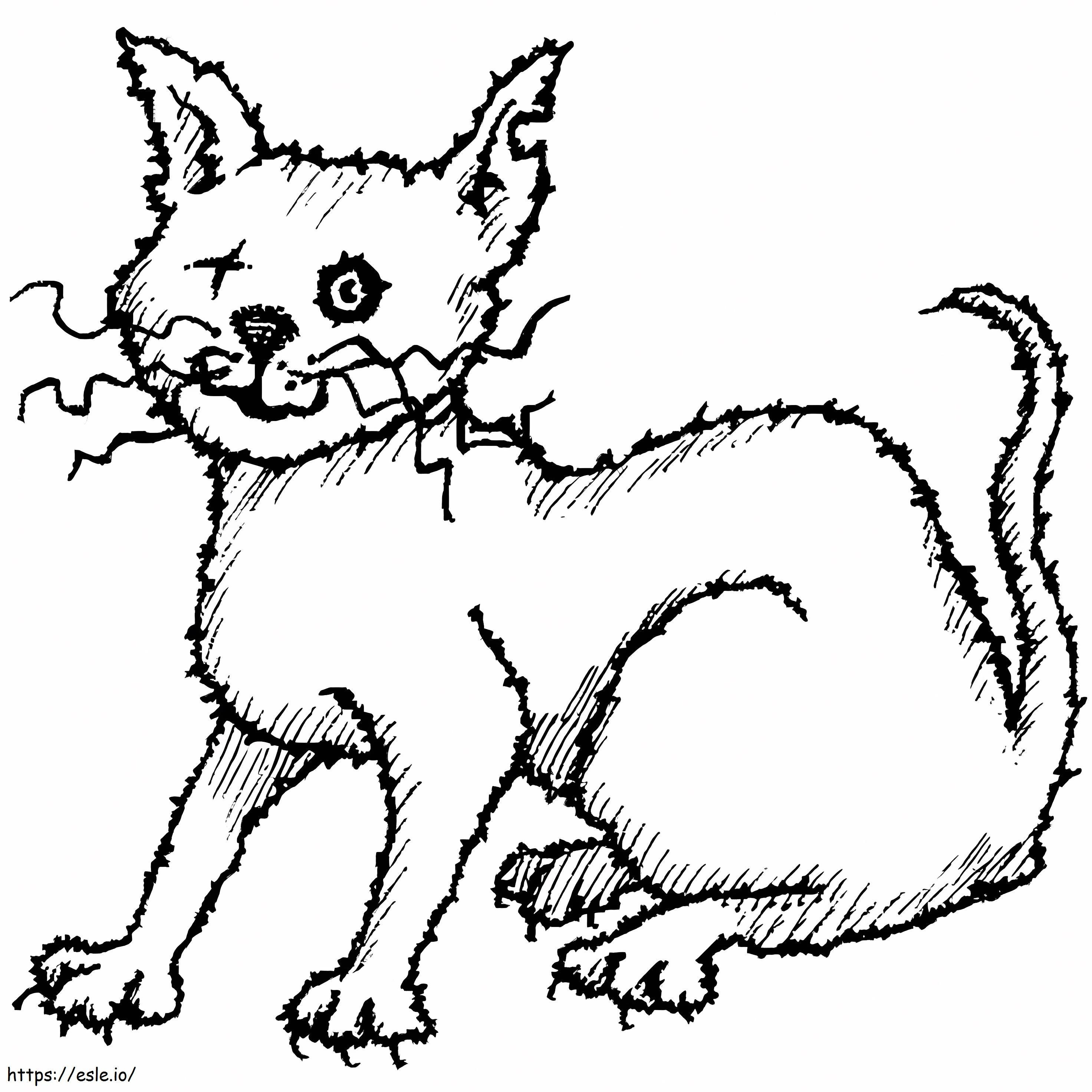 Scary cat coloring page