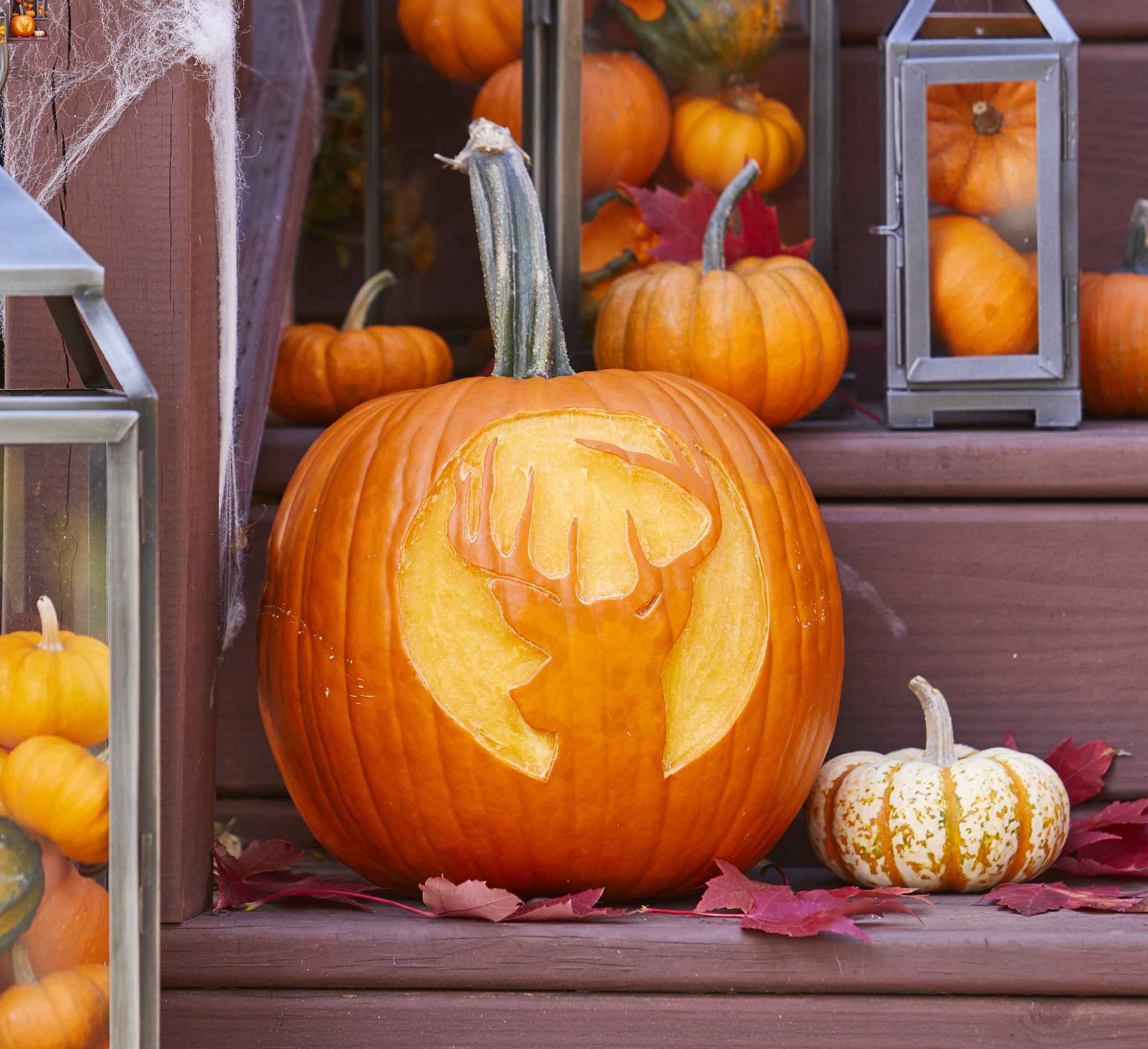 Adorable and free woodland creature pumpkin stencils