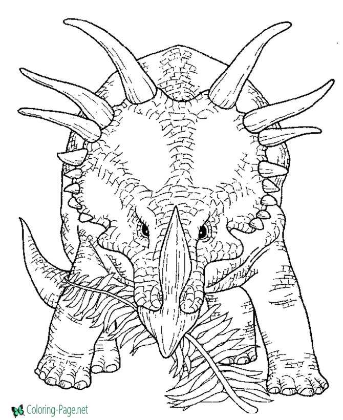 Dinosaurs coloring pages