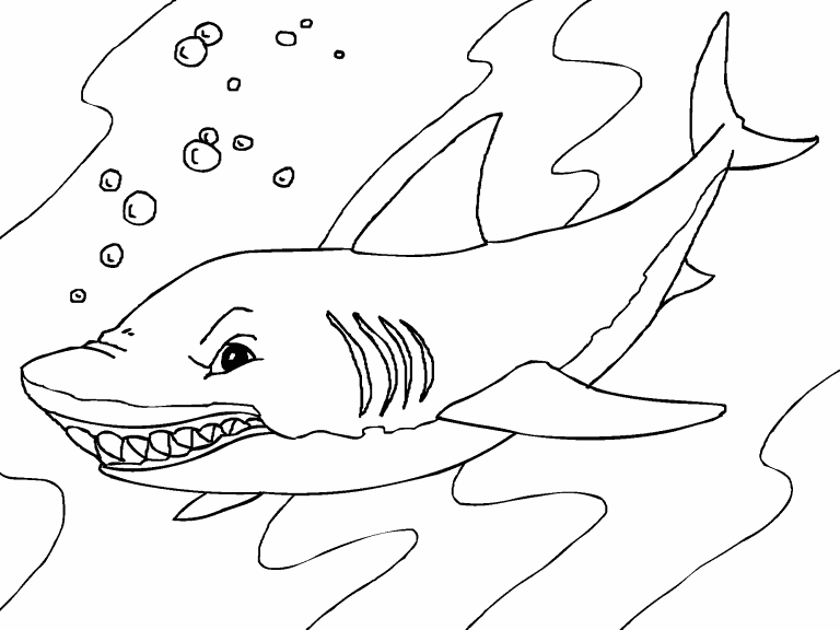 Free coloring page nov shark