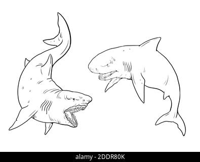 Giant sharks coloring template big shark drawing monster megalodon illustration stock photo