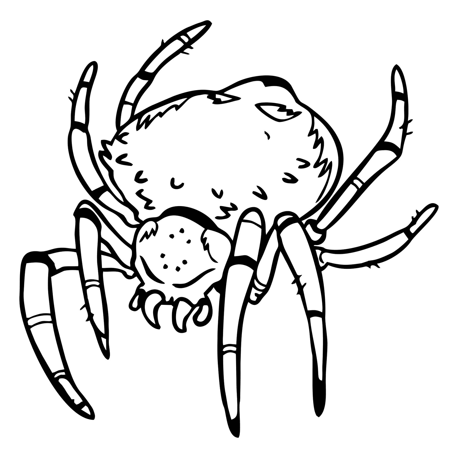 Spider coloring pages printable for free download