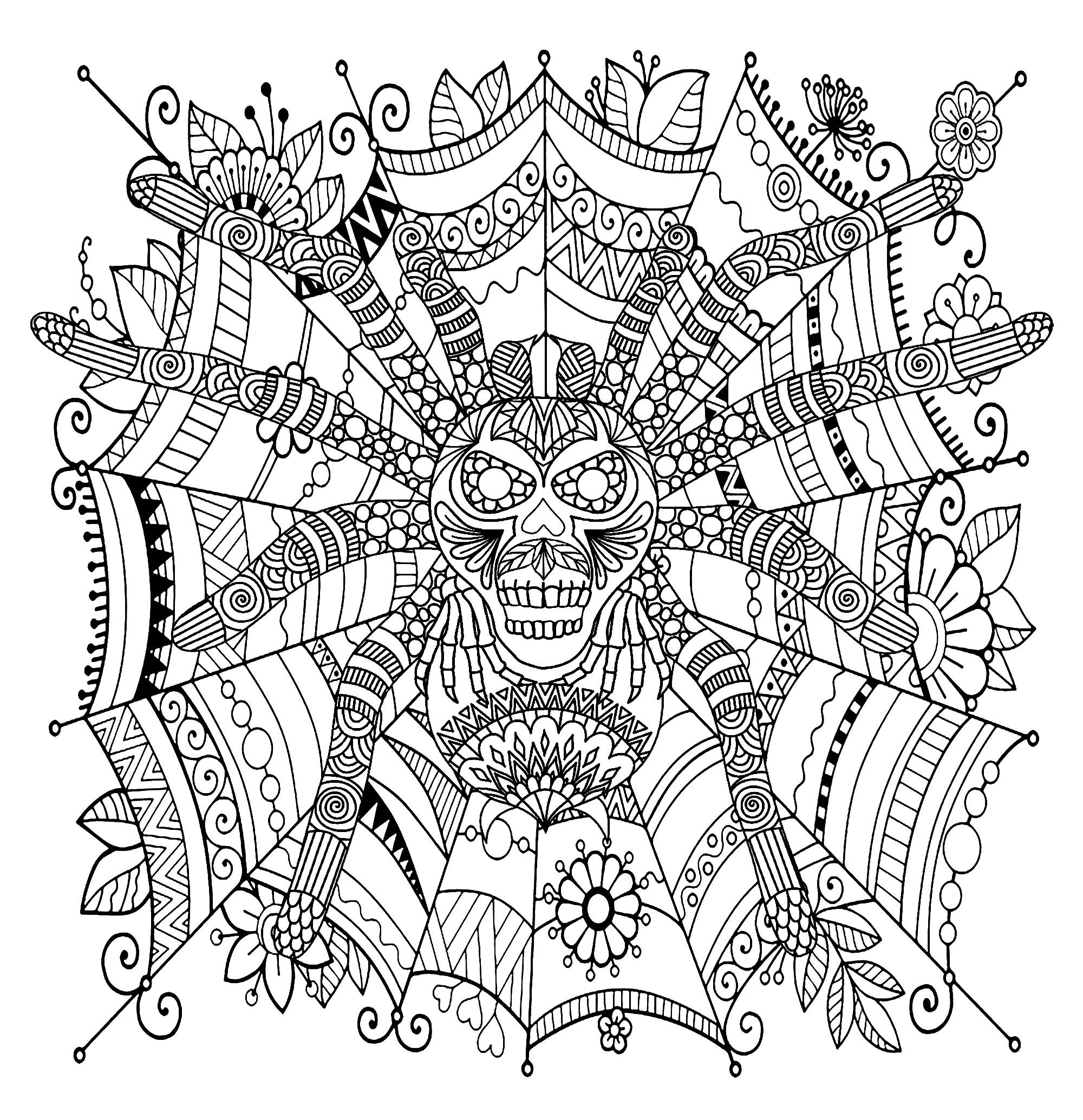 Free printable spider coloring pages for kids