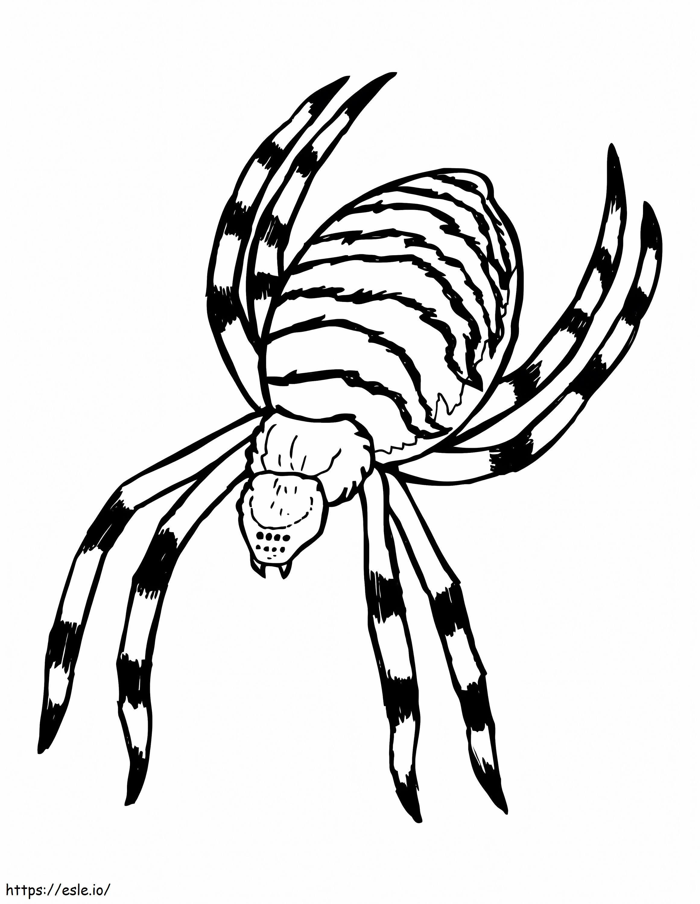 Creepy spider coloring page