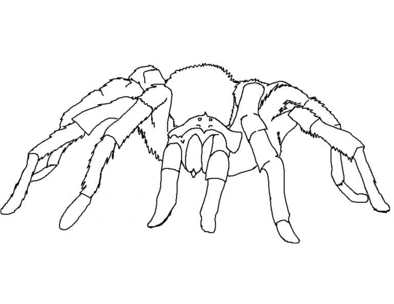 Printable scary spider coloring page