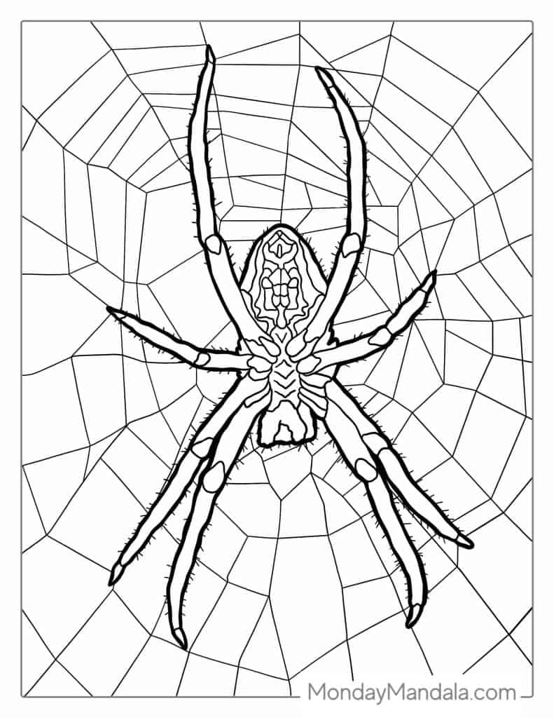 Spider coloring pages free pdf printables