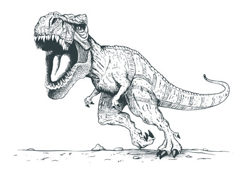 T rex clipart images â browse photos vectors and video