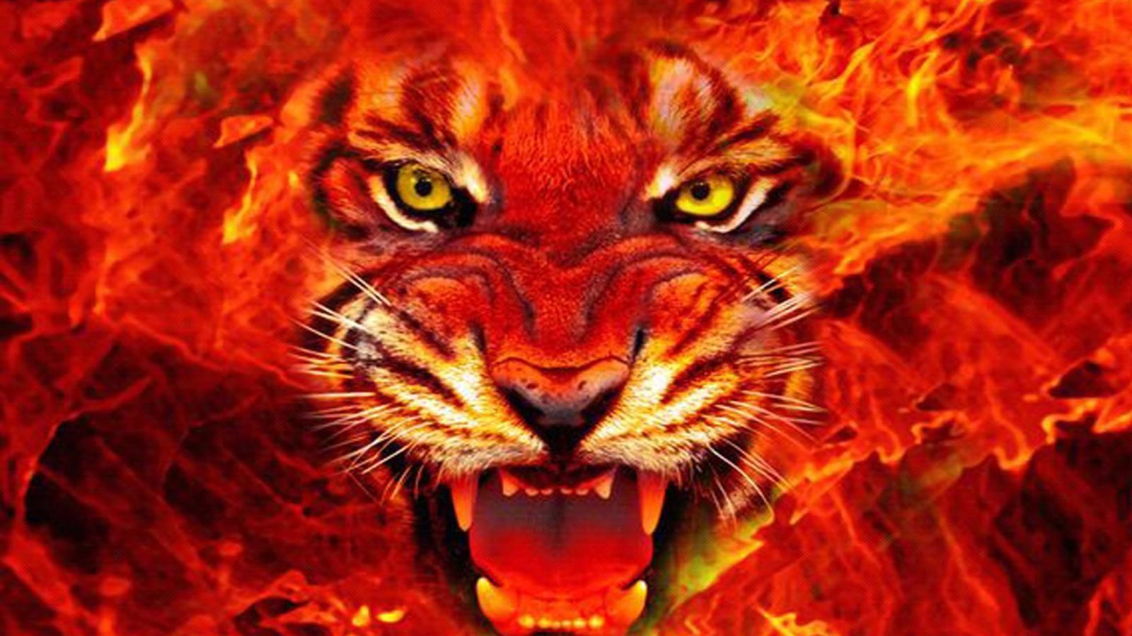 Download Free 100 + scary tiger Wallpapers