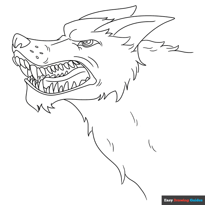 Snarling wolf coloring page easy drawing guides