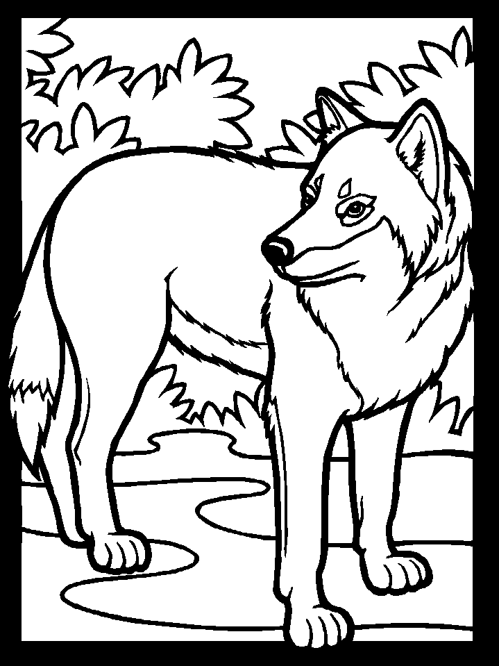 Free printable wolf coloring pages for kids