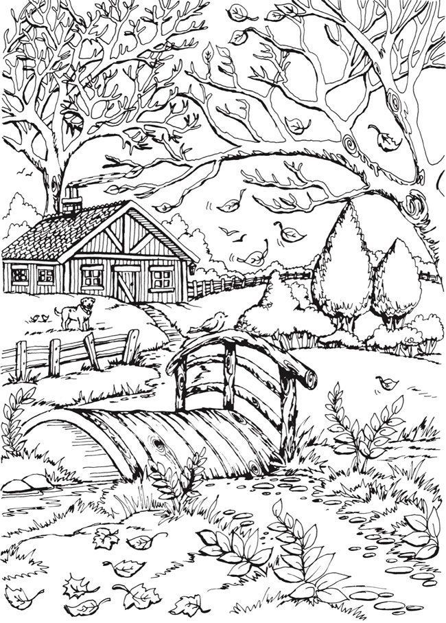 Scenery coloring pages for adults