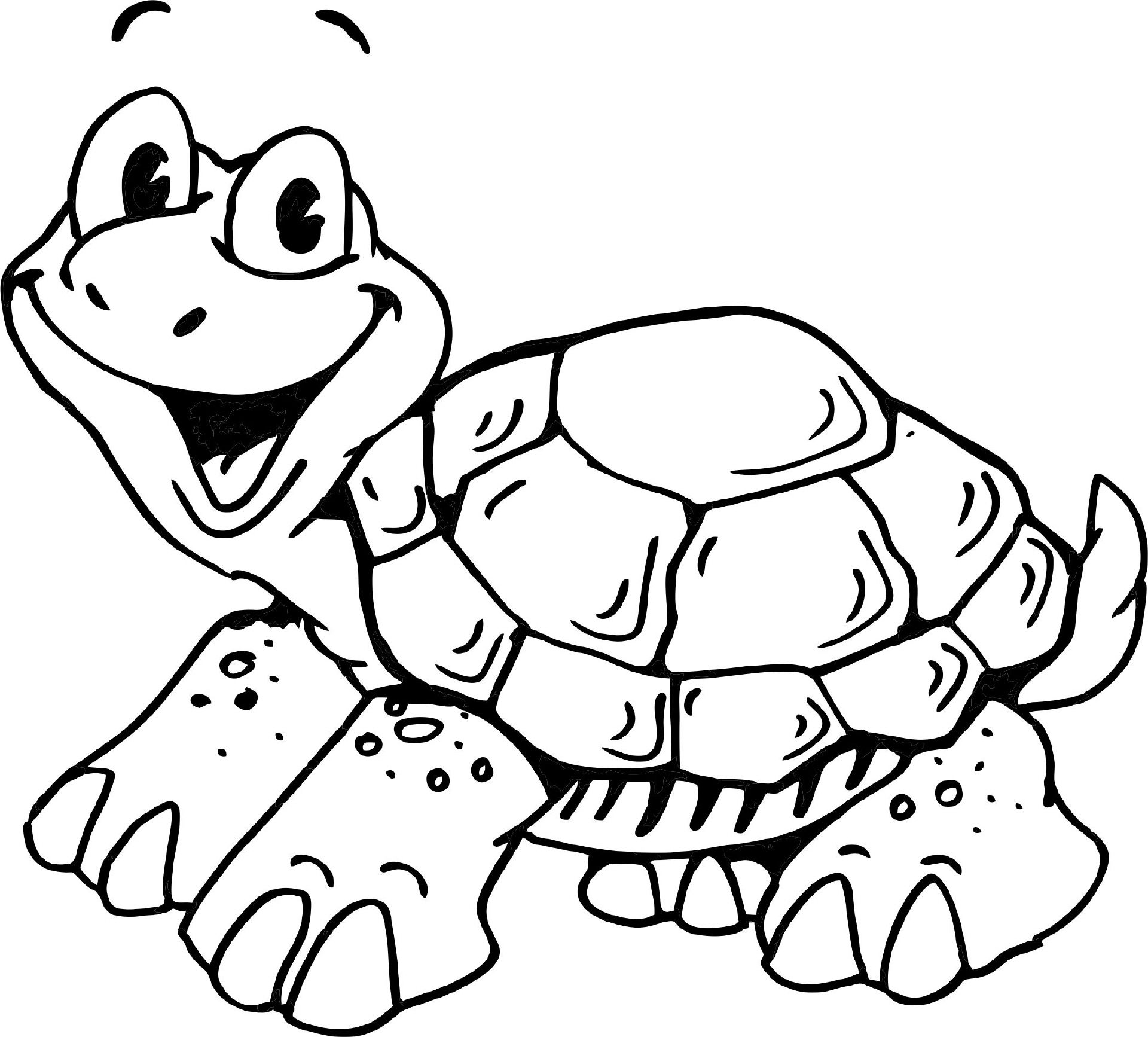 Schildkrãte turtle coloring pages happy turtle coloring pages