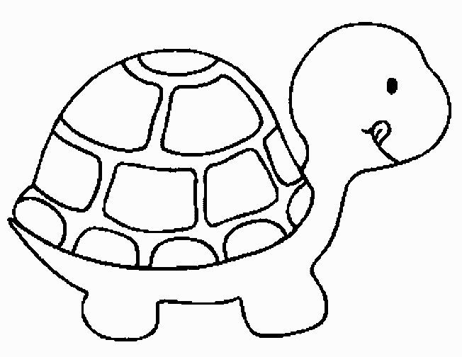 Neu ausmalbilder zum ausdrucken schildkrãte dãcor tartaruga para colorir pãginas de colorir animais tartaruga de feltro