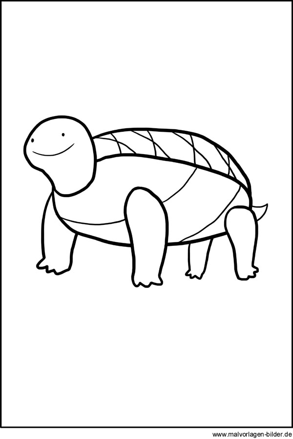 Gratis ausmalbild schildkrãte zum ausdrucken