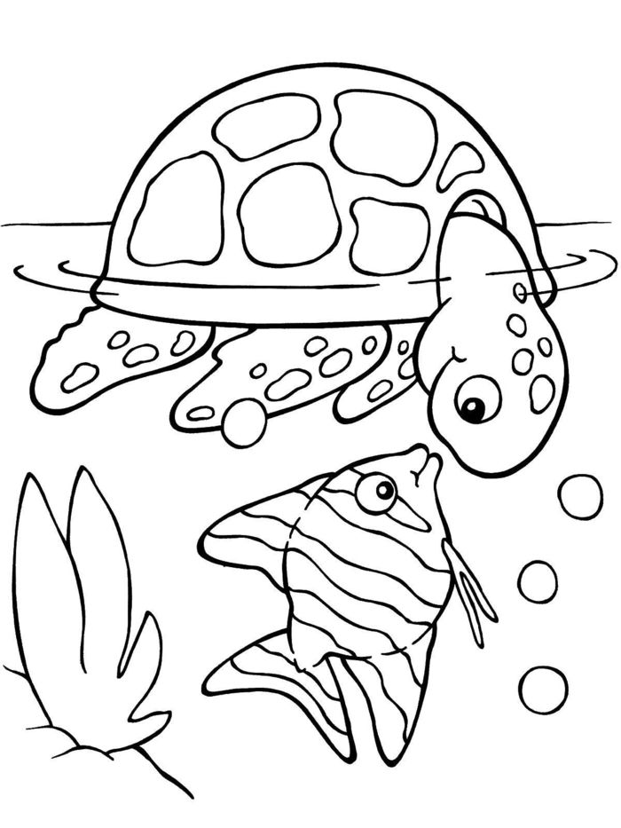 Fisch und schildkrãte im wasser wasserpflanze malvorlagen kinder bilder zum ausmalen turtle coloring pages cool coloring pages easy coloring pages