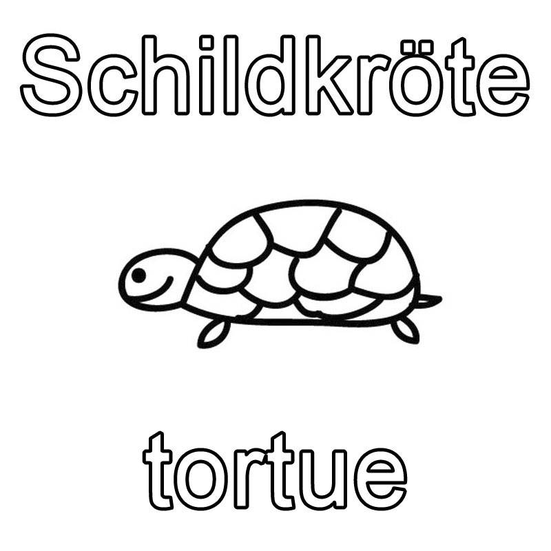 Ausmalbild malvorlagen zum franzãsisch lernen schildkrãte