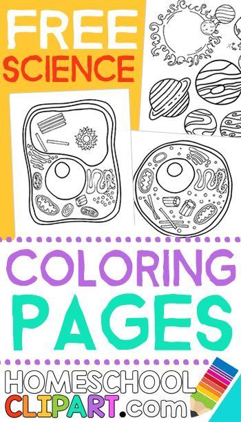 Science themed coloring pages