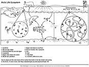 Coloring pages and biology worksheets ask a biologist