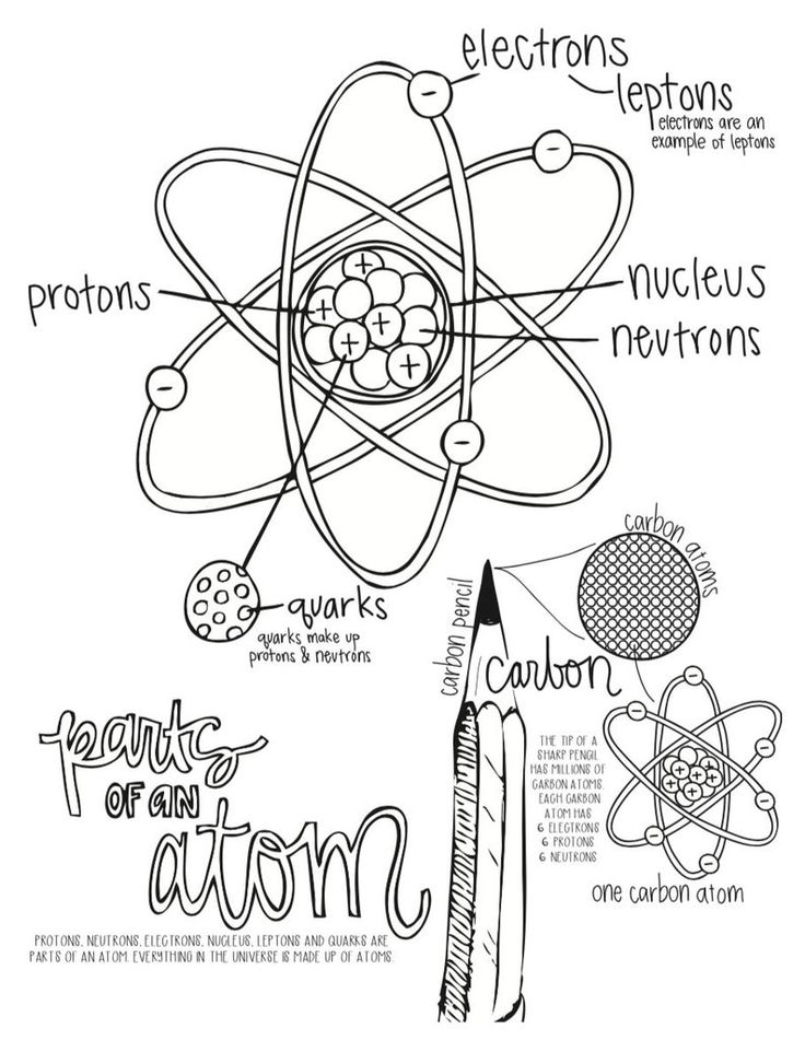 Cycle science coloring pages th edition