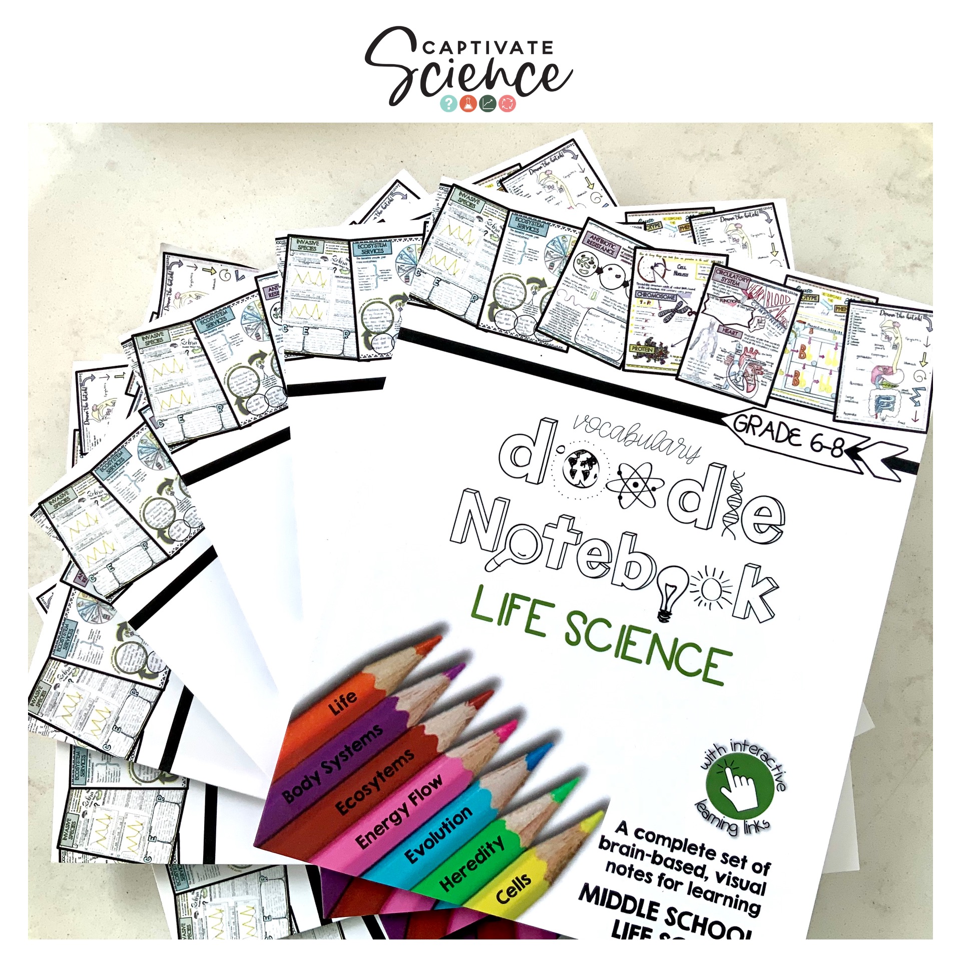 Life science doodle workbook