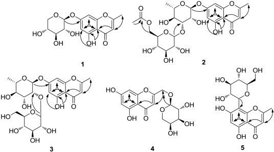 Five new chromone glycosides from scindapsus officinalis roxb schott