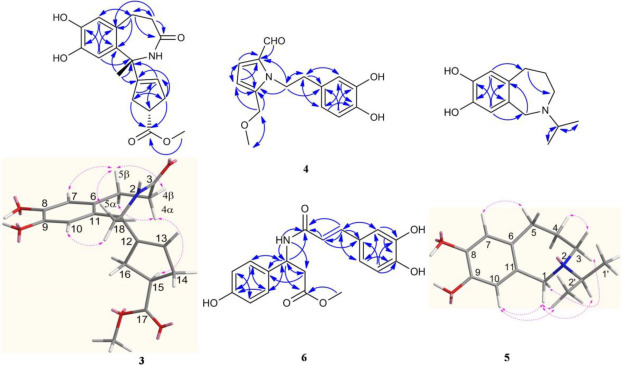 Alkaloids from scindapsus officinalis roxb schott and their biological activities