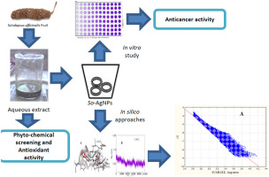 Green synthesis of silver nanoformulation of scindapsus officinalis as potent anticancer and predicted anticovid alternative exploration via experimental and putational methods