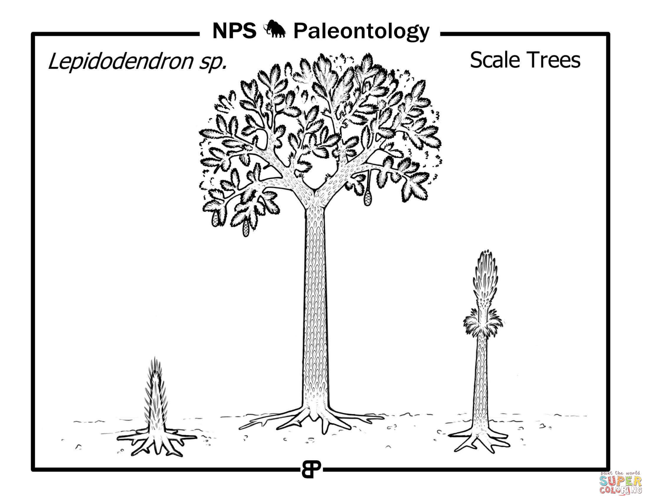Prehistoric scale trees lepidodendron sp coloring page free printable coloring pages