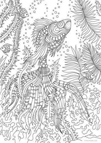 Ocean life â stunning fish fish coloring page coloring pages colouring pages