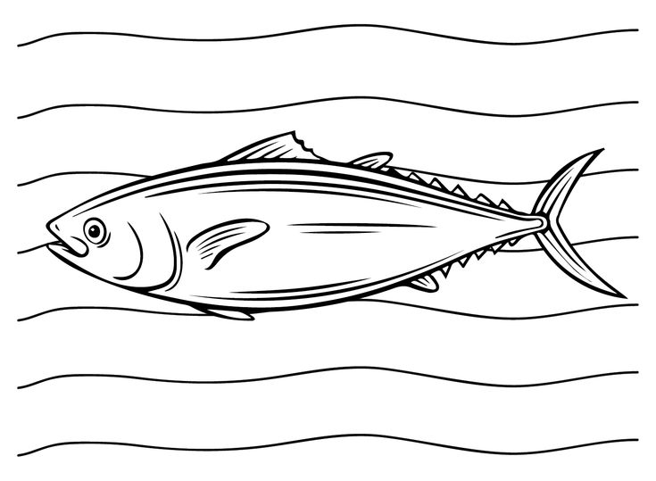 Mackerel coloring pages