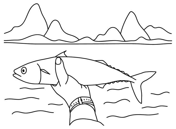 Mackerel coloring pages