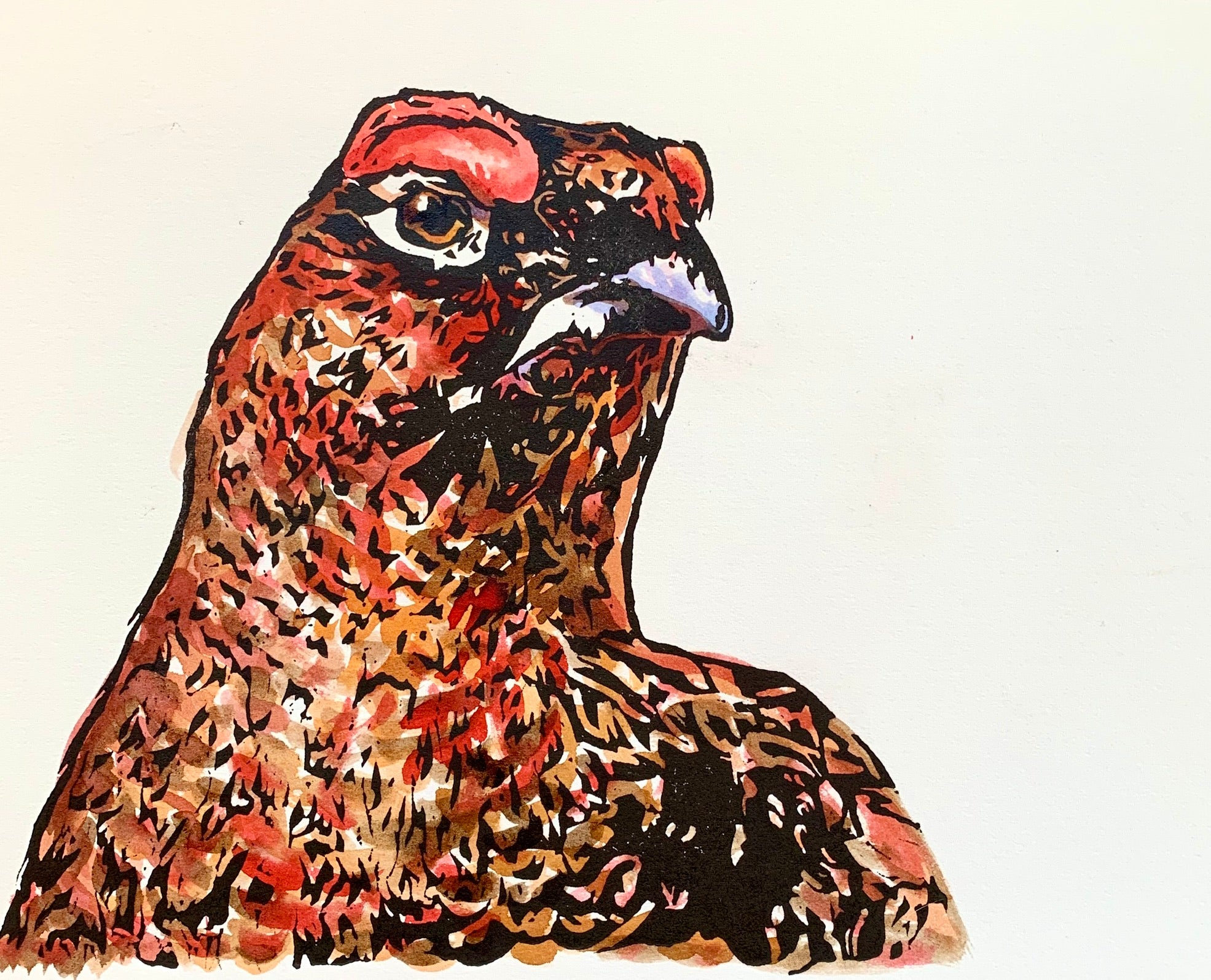 Grouse