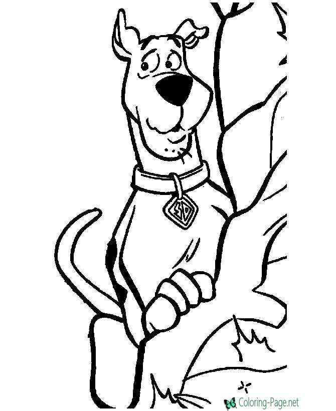 Scooby doo coloring pages