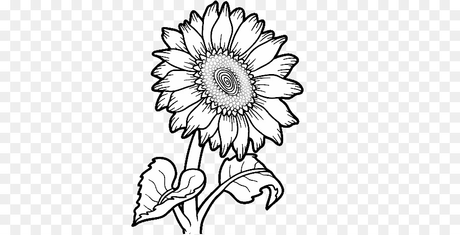 Sunflower black and white png download