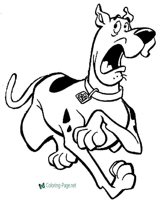 Scooby doo coloring pages