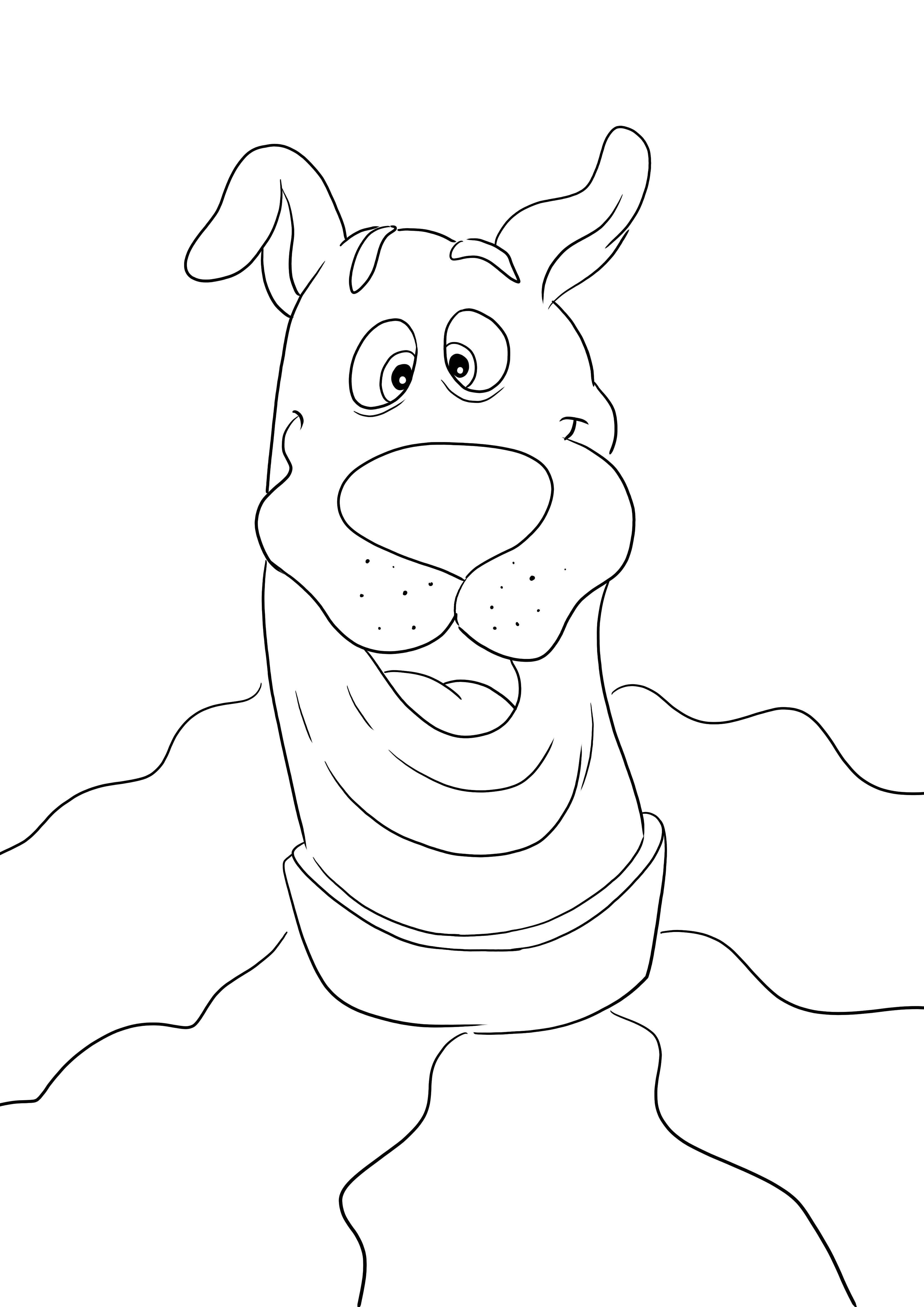 Here is our free printable of scoobys funny face to be colored while having fun