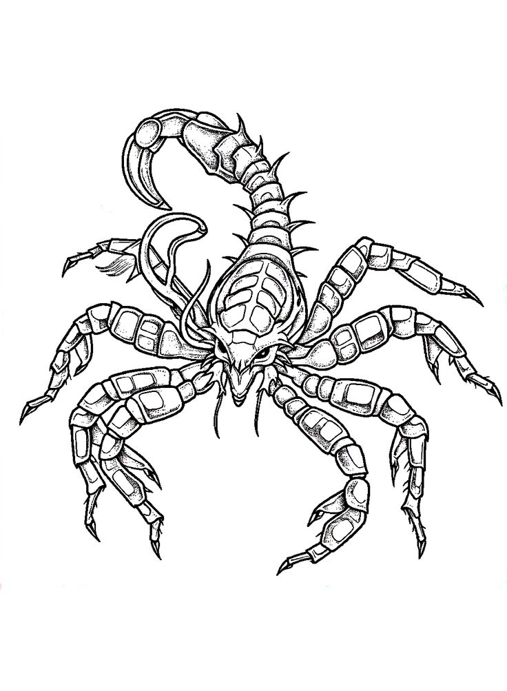 Scorpions coloring pages