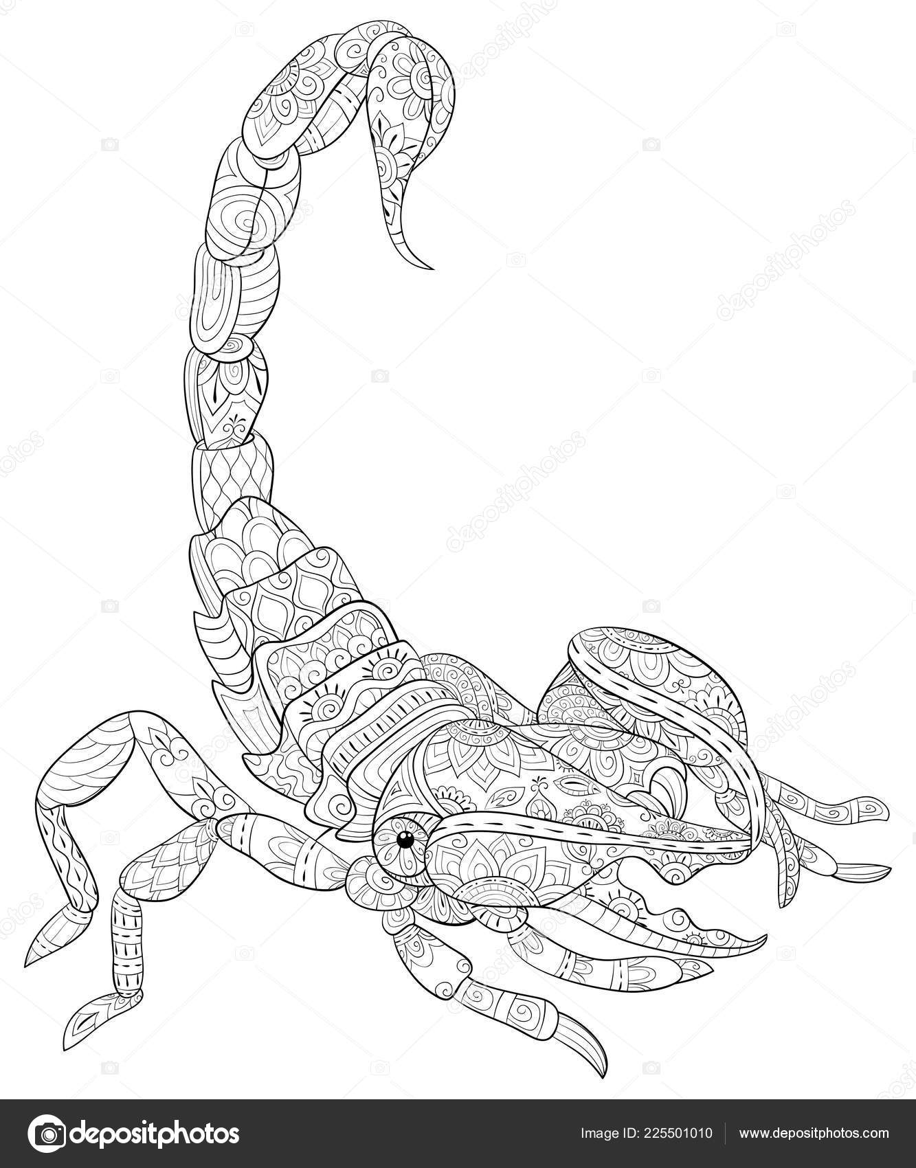 Adult coloring book page cute scorpion image relaxing zen art stock vector by nonuzza