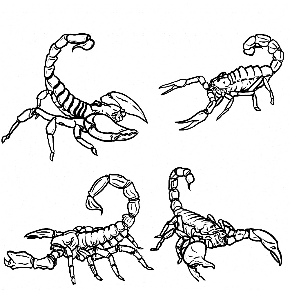 Free printable scorpion coloring pages for kids