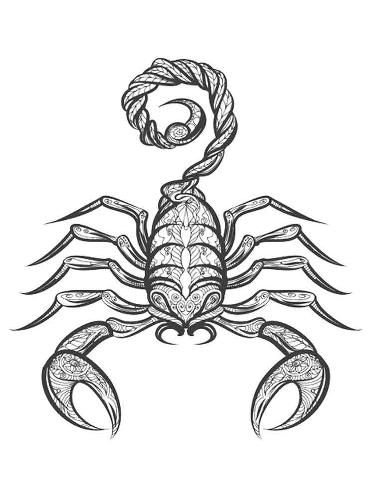 Scorpion coloring pages for adults