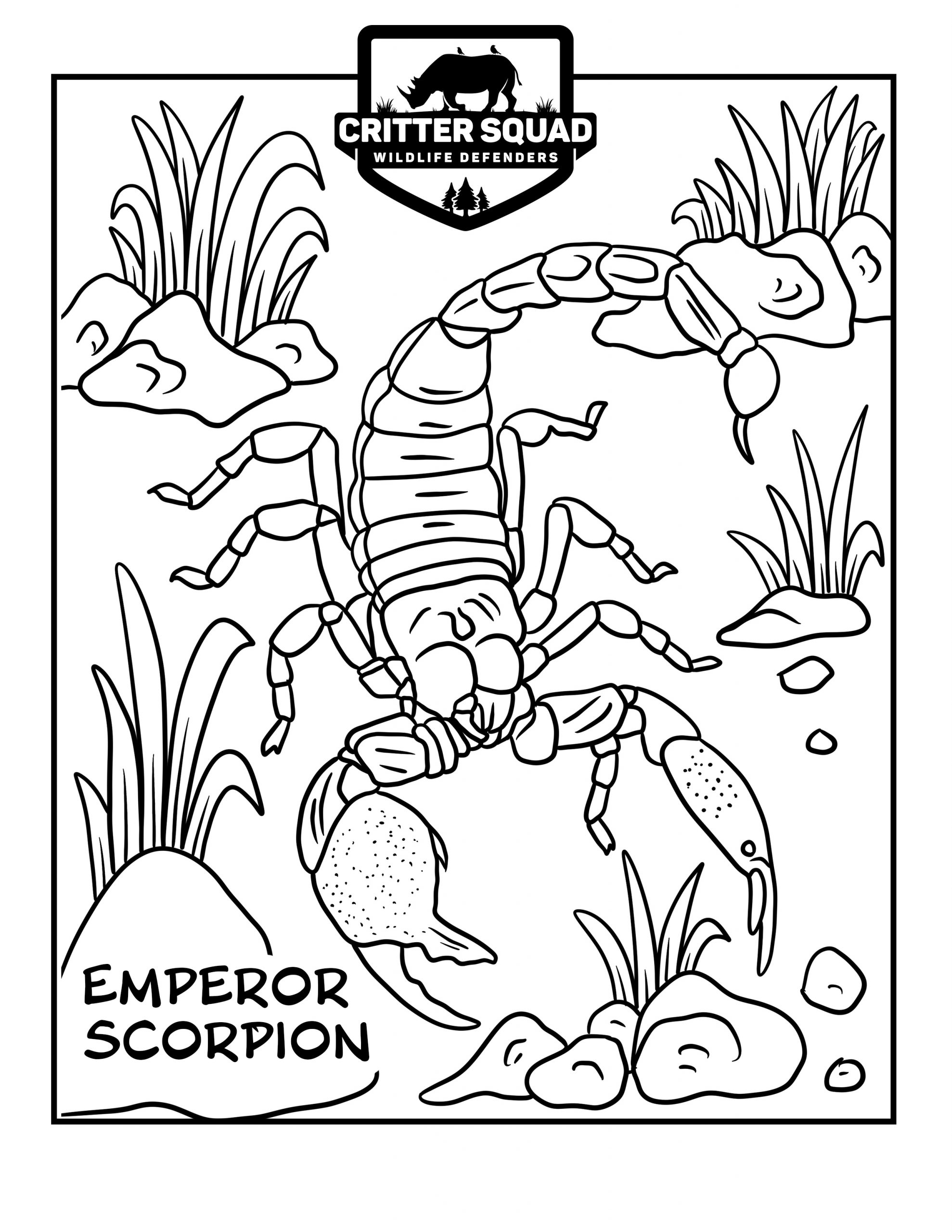 Emperor scorpion coloring page