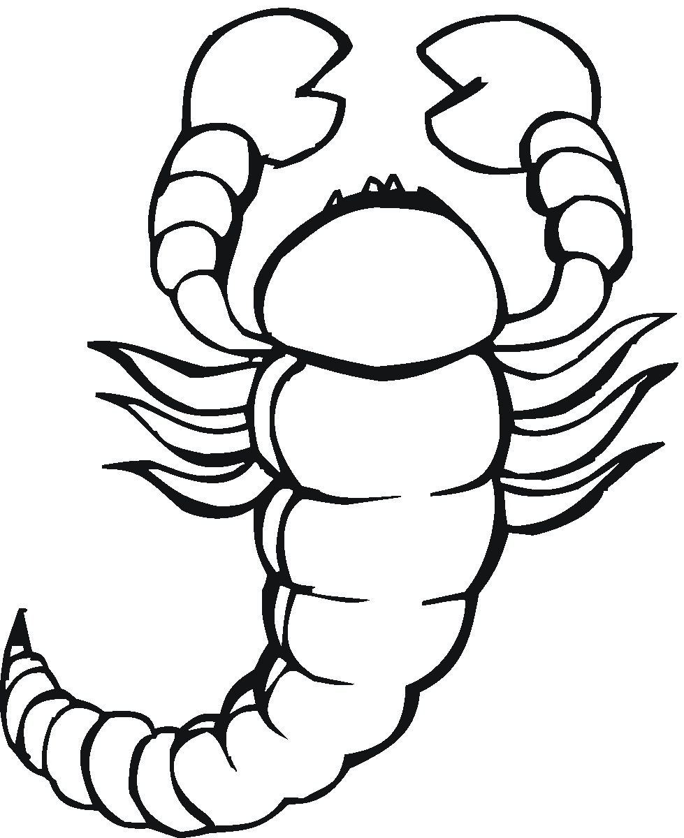 Free printable scorpion coloring pages for kids