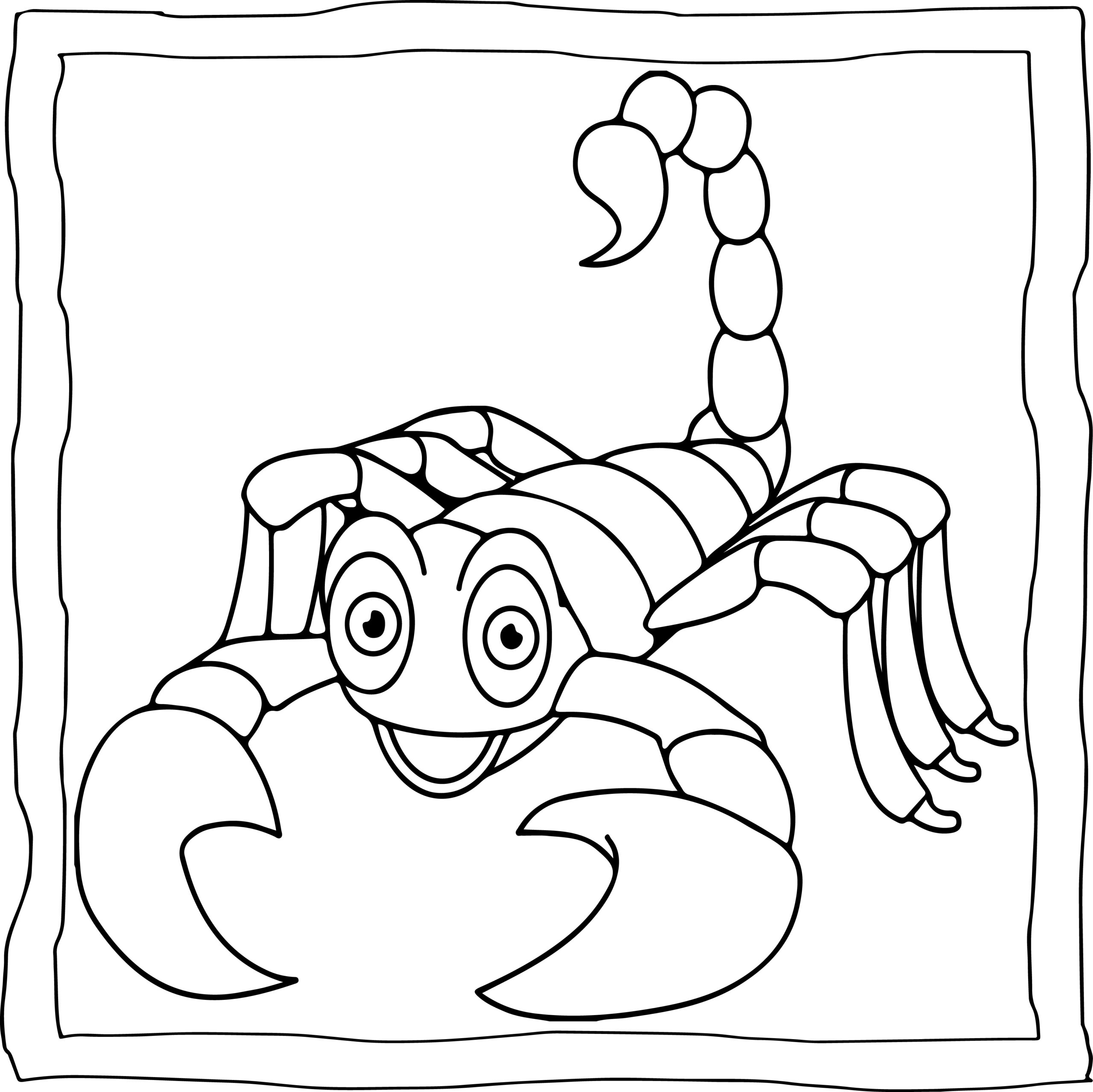 Scorpion coloring book easy and fun scorpions coloring pages for kids made by teachers