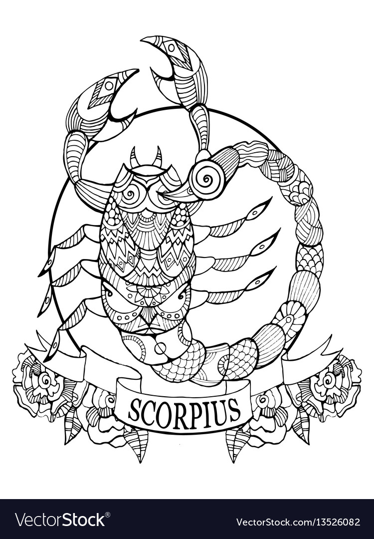 Scorpio zodiac sign coloring book royalty free vector image