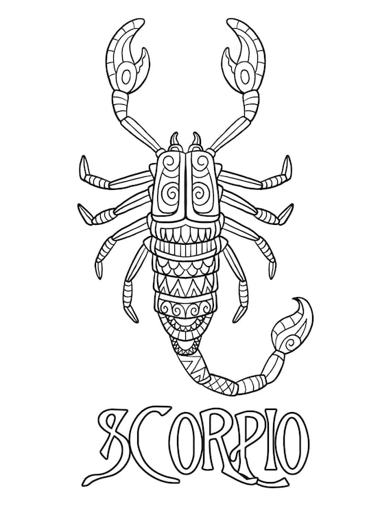 Scorpio coloring page digital download printable